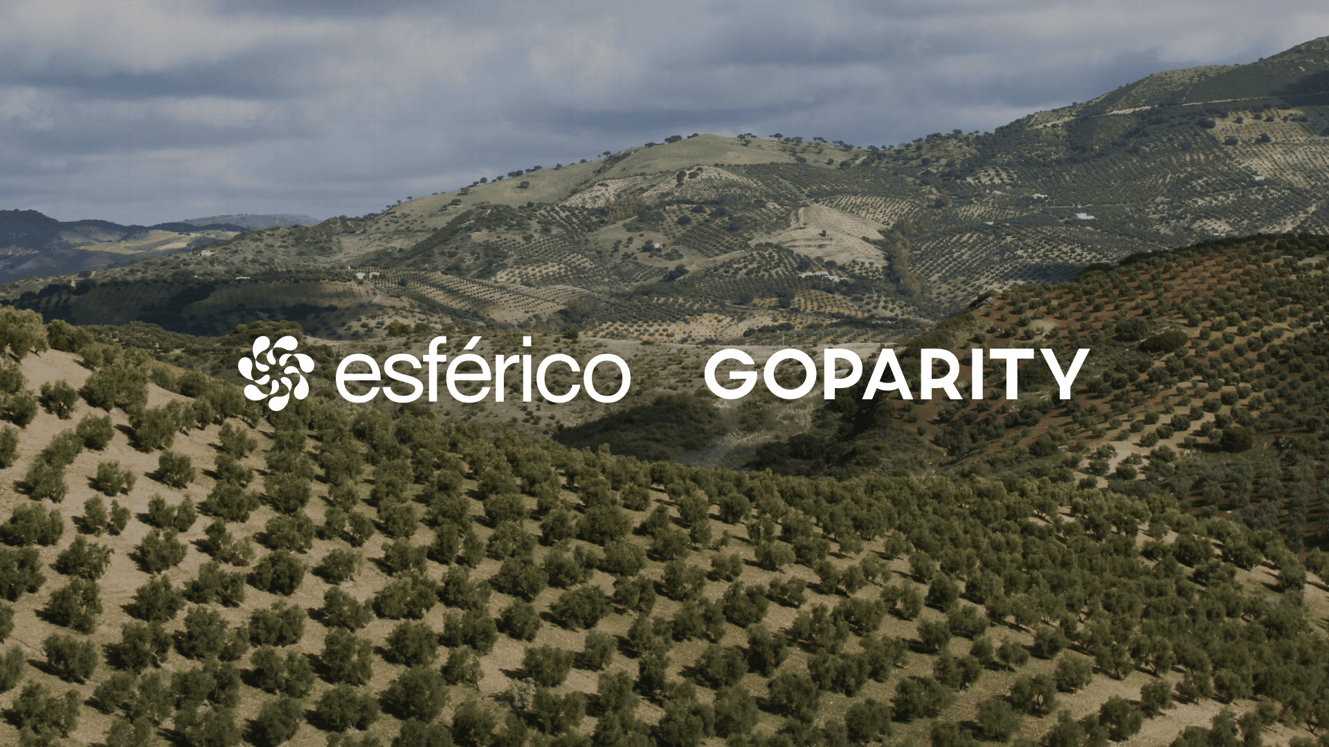 Esférico e Goparity
